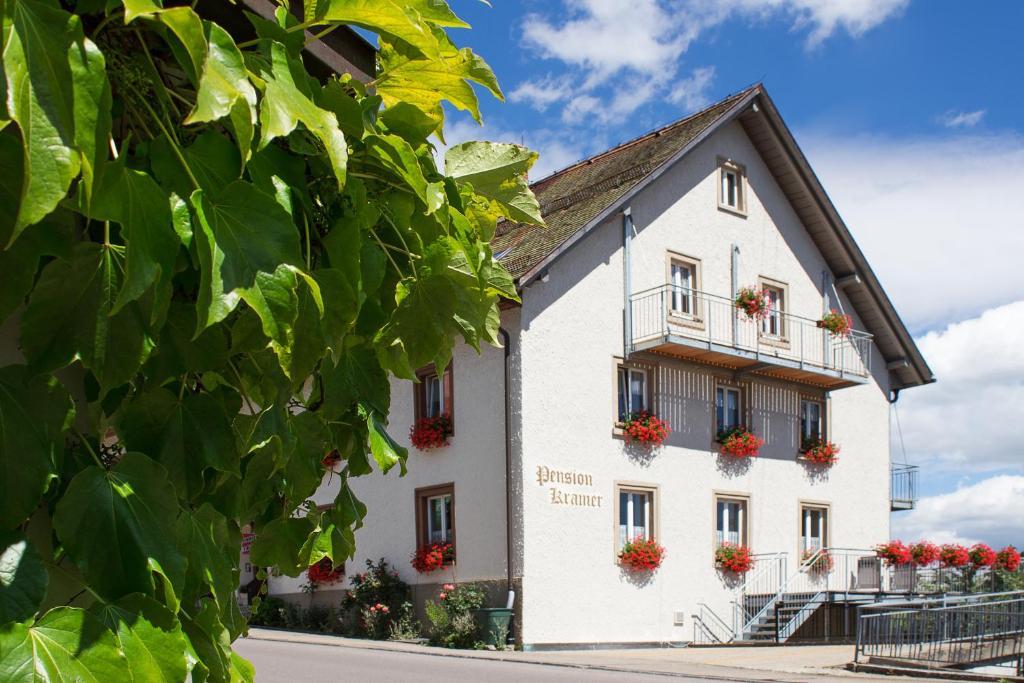 Pension Kramer Grafenhausen Exteriér fotografie